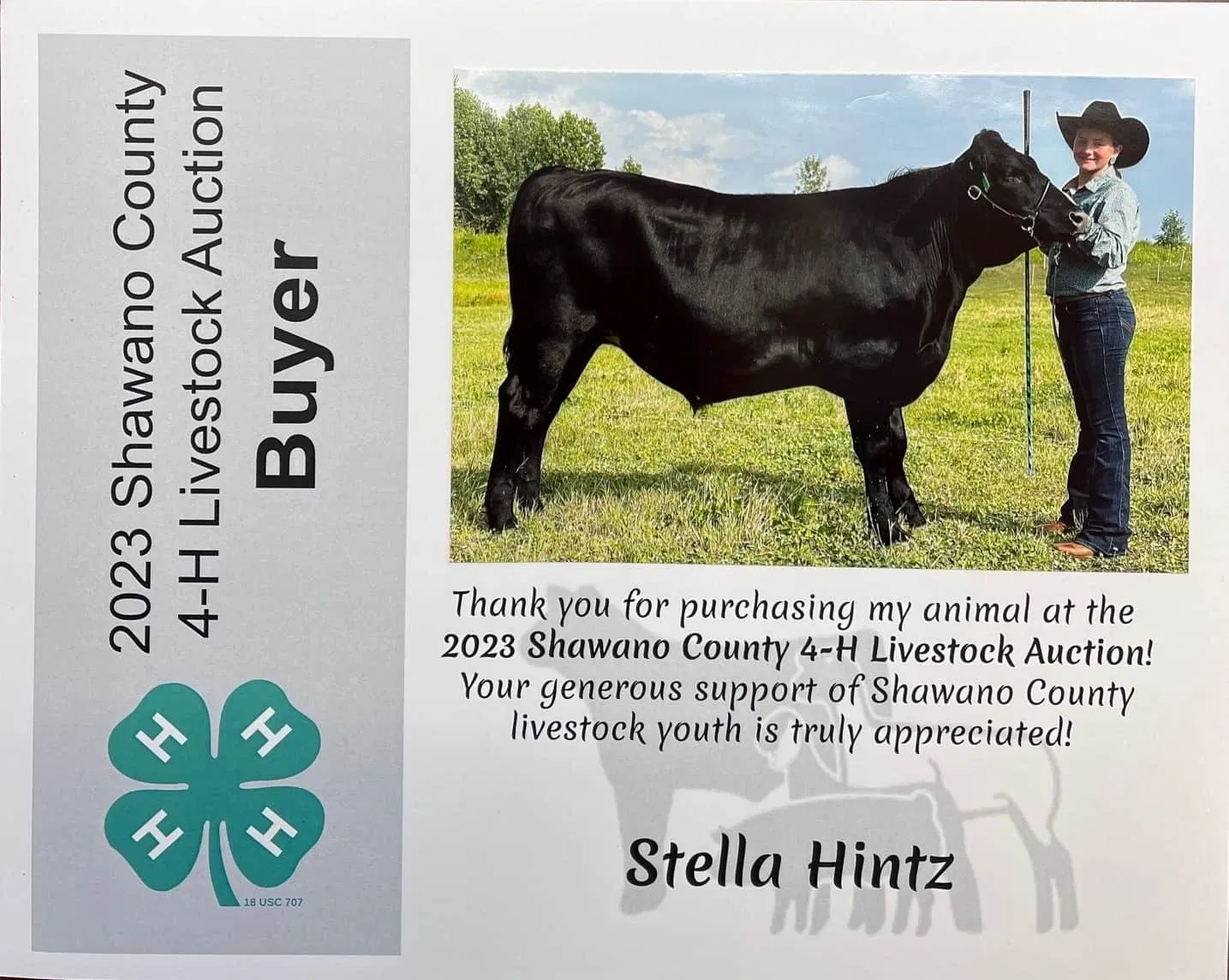 Shawano Cty Fair 2023 beef